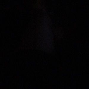 Meet your Posher, Celeste